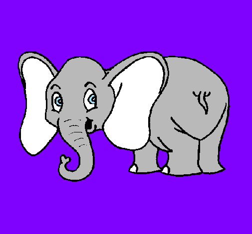 Desenho Elefante pequeno pintado por Karine