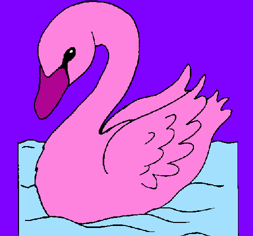 Desenho Cisne pintado por jaqueline 11 anos