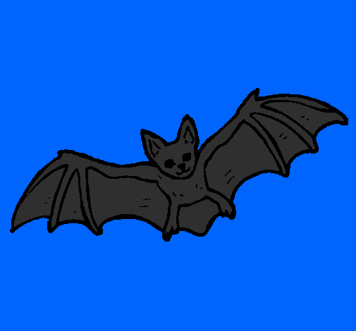 Desenho Morcego a voar pintado por tomas