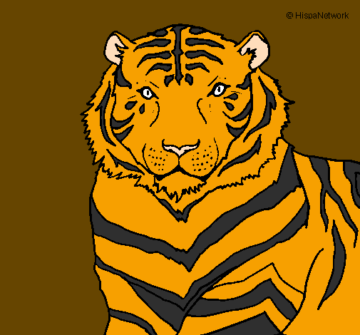 Desenho Tigre pintado por dudu
