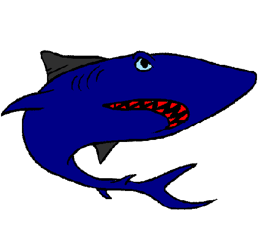 Desenho Tubarão pintado por jho