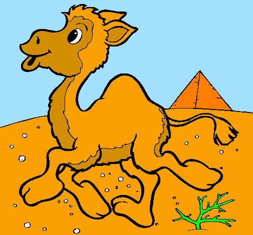 Desenho Camelo pintado por daniela