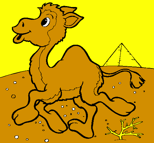 Desenho Camelo pintado por adauto alzeni