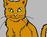 Desenho Gato pintado por vinicius