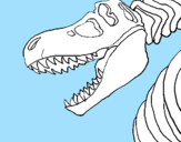 Desenho Esqueleto tiranossauro rex pintado por adauto alzeni