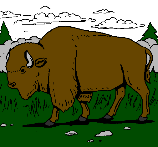Desenho Búfalo pintado por pablo