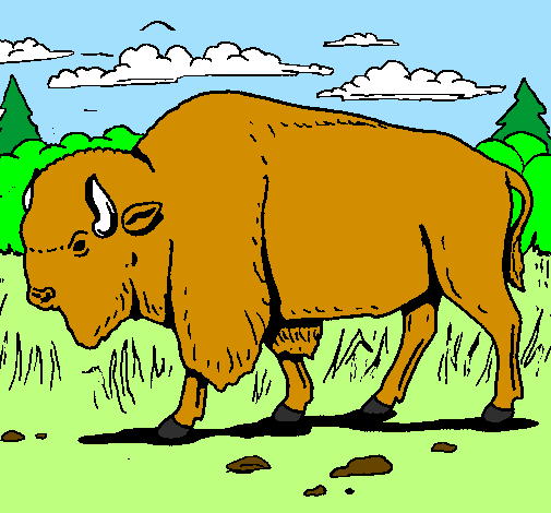 Desenho Búfalo pintado por Karine