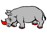 Desenho Rinoceronte pintado por pablo