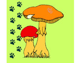 201149/cogumelos-natureza-o-bosque-pintado-por-carol-1005292_163.jpg