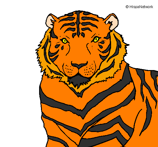 Desenho Tigre pintado por juvany