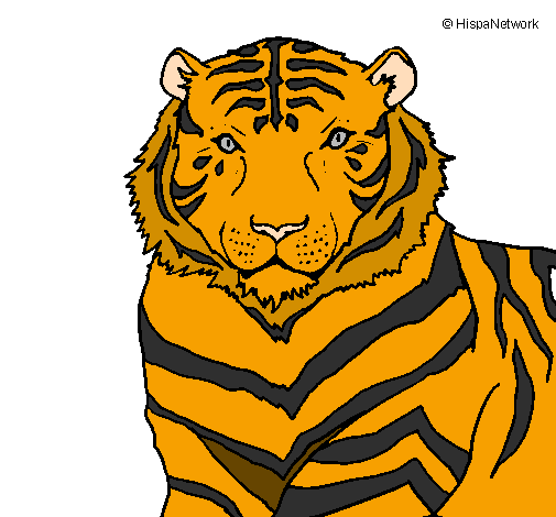 Desenho Tigre pintado por vinicius