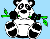 Desenho Urso panda pintado por morgana