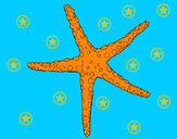 201150/estrelita-do-mar-animais-o-mar-pintado-por-nela-1005428_163.jpg