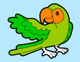 Desenho Papagaio abrir a asa pintado por Rhuuan
