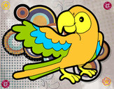 Desenho Papagaio abrir a asa pintado por francisca