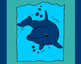 Desenho Golfinho pintado por titicali