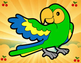 Desenho Papagaio abrir a asa pintado por larissa