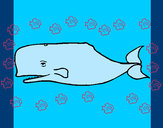Desenho Baleia azul pintado por Soso