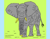 Desenho Elefante pintado por Murilo