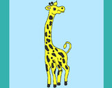 Desenho Girafa pintado por Soso