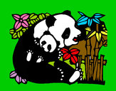Desenho Mamã panda pintado por VIVIAN