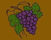 Desenho Cacho de uvas pintado por luciene