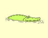 Desenho Crocodilo 2 pintado por rodricosta