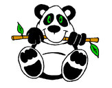 Desenho Urso panda pintado por  poly