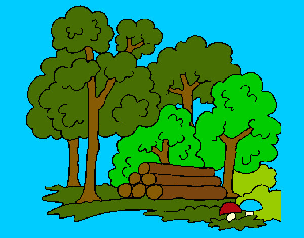 Desenho Bosque pintado por caiobrumel