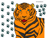 Desenho Tigre pintado por Josuecalos