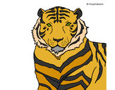 Desenho Tigre pintado por kaique