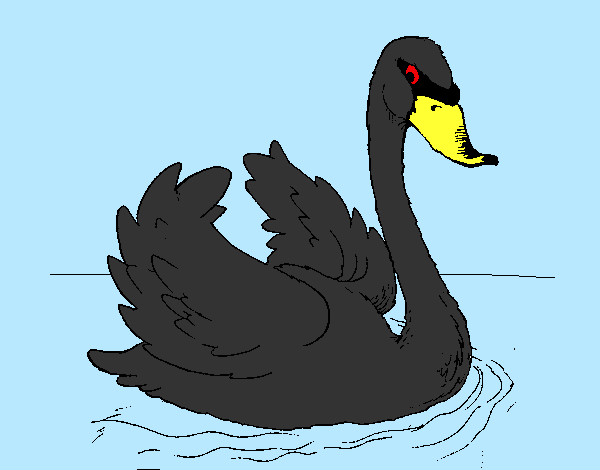 Desenho Cisne na água pintado por bruninho