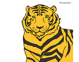 Desenho Tigre pintado por Matilde