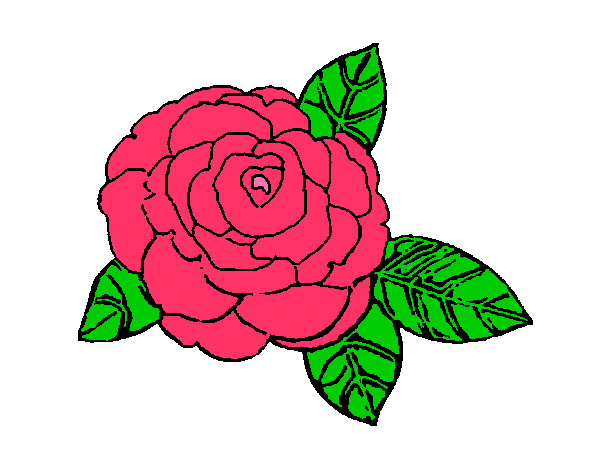 Desenho Rosa pintado por jhenifer