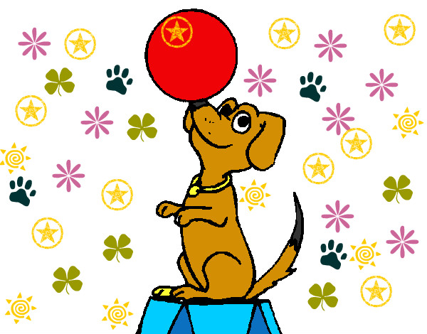 Desenho Cão de circo pintado por lizzylin