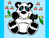 Desenho Urso panda pintado por nayarinha