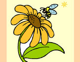 Desenho Margarida com abelha pintado por Danny