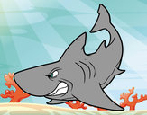 Desenho Tubarão furioso pintado por caiosz