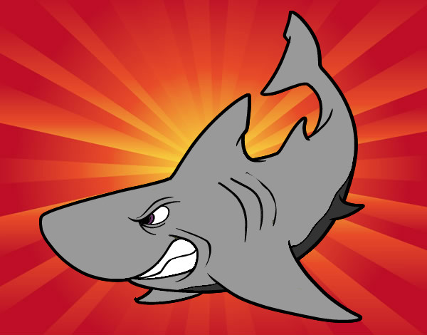 Desenho Tubarão furioso pintado por caiosz
