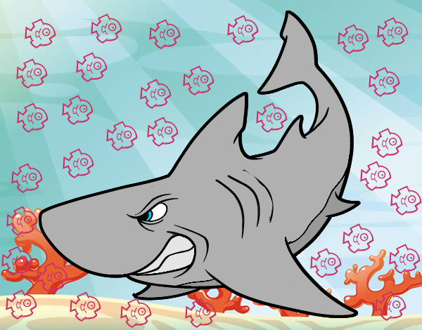 Desenho Tubarão furioso pintado por Yasmin10