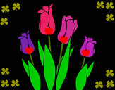 Desenho Tulipa pintado por nayarinha