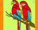 201211/louros-animais-aves-pintado-por-juan147-1008894_163.jpg