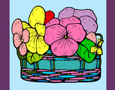 Desenho Cesta de flores 12 pintado por taninha