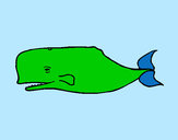 Desenho Baleia azul pintado por Nilza