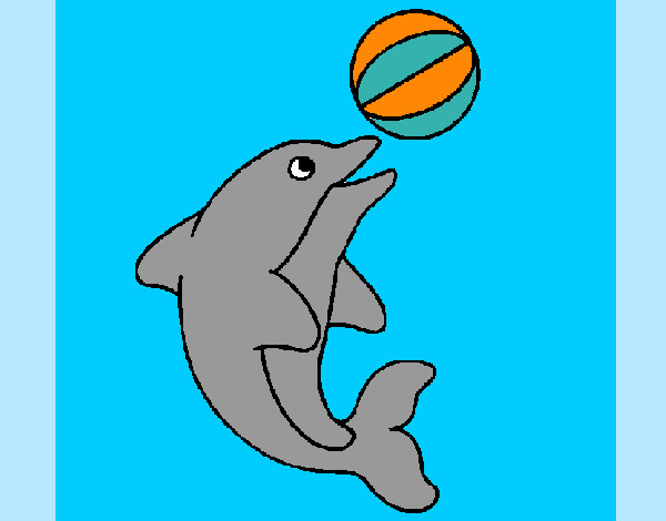 Desenho Golfinho a jogar com uma bola pintado por caiosz