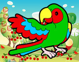 Desenho Papagaio abrir a asa pintado por kaylane05