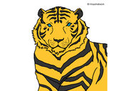 Desenho Tigre pintado por kaylane05