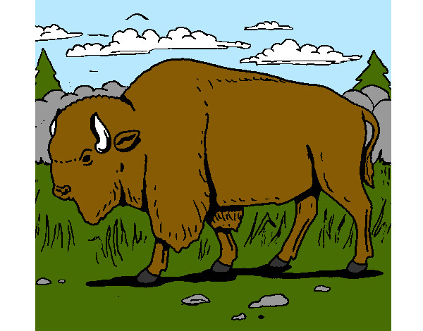 Desenho Búfalo pintado por Thiago