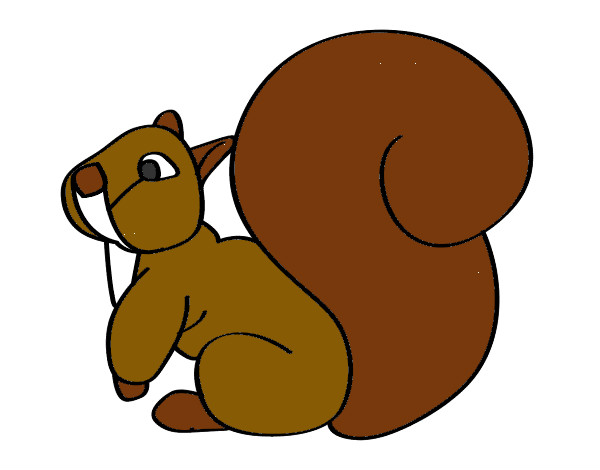Desenho Esquilo com uma cauda grande pintado por Thaisa3757