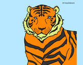 Desenho Tigre pintado por idluiz10